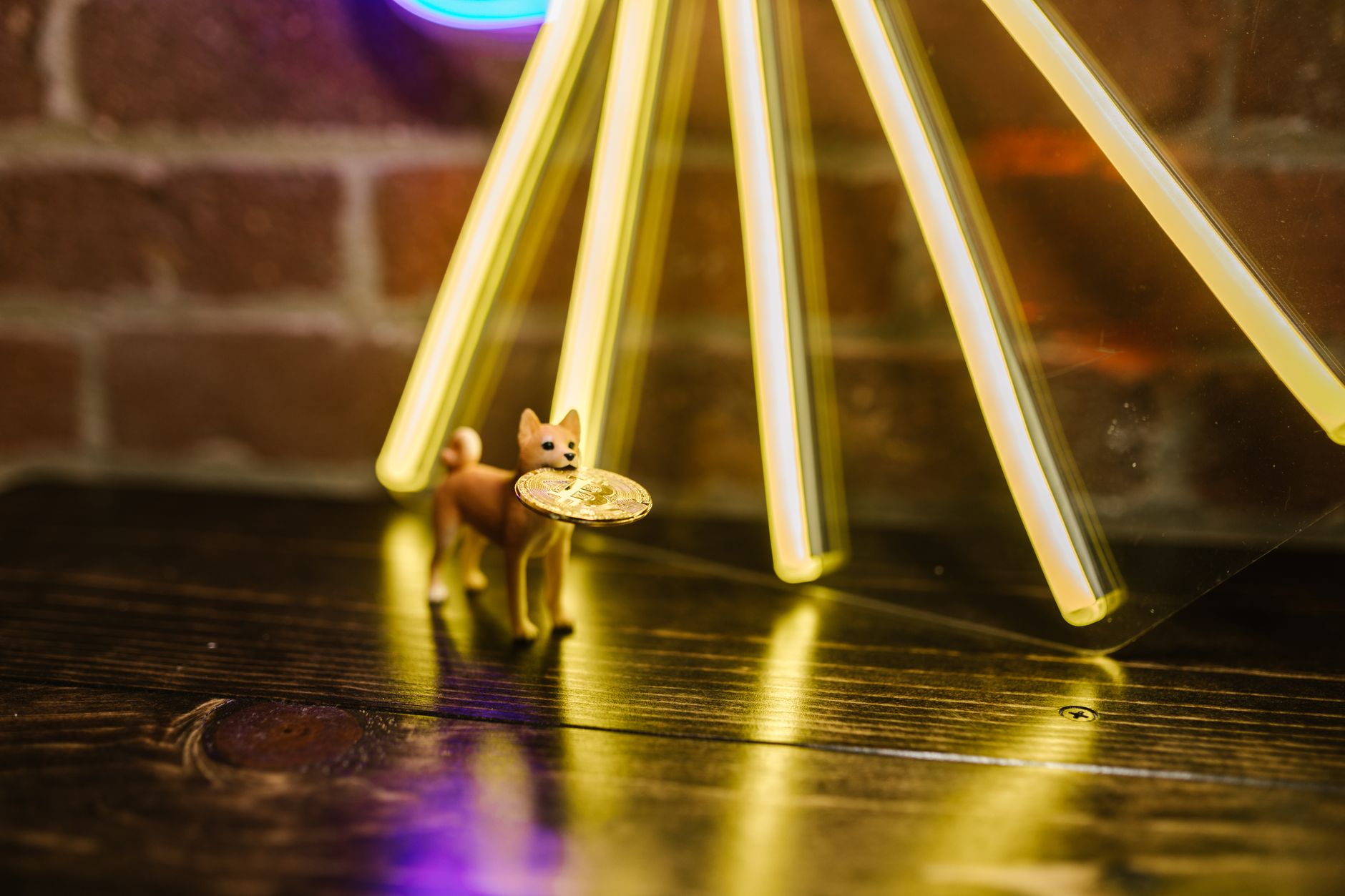 Figurine of a dog holds a Bitcoin coin on a wooden table with a glowing background.